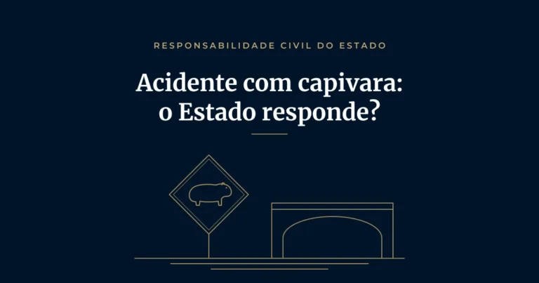 Acidente com capivara na pista: quando o Estado deve pagar o prejuízo